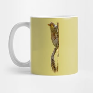 I am watching you Squirrel Mug